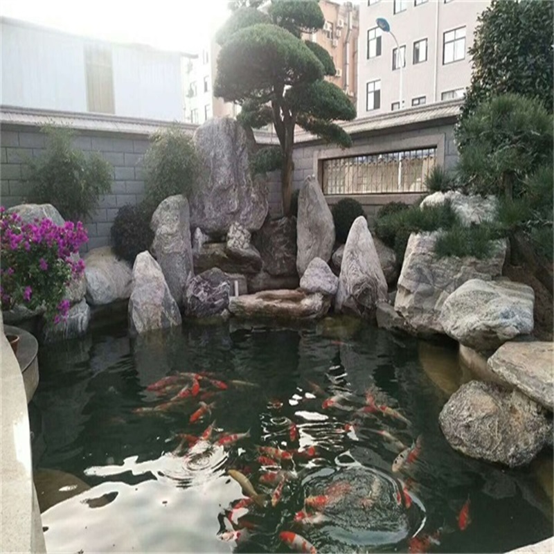 广州室外鱼池过滤箱改造图